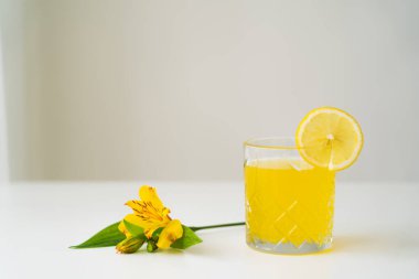 Sarı Peru zambağı, narenciye toniği ve beyaz masa üstünde bir dilim limon ve gri arka planda cam kenarında.