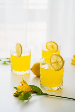 Turunçgil suyu ve beyaz arka planda dilimlenmiş limonlu bardakların yanında sarı alstroemeria çiçeği.