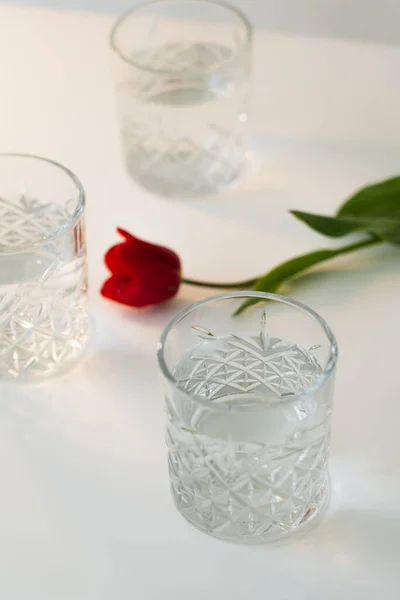 Vista Alto Ángulo Tulipán Rojo Vasos Con Agua Sobre Mesa — Foto de Stock