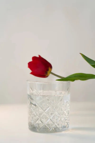 Szkło Twarde Czystą Wodą Pobliżu Nieostrego Tulipana Białej Powierzchni Izolowane — Zdjęcie stockowe