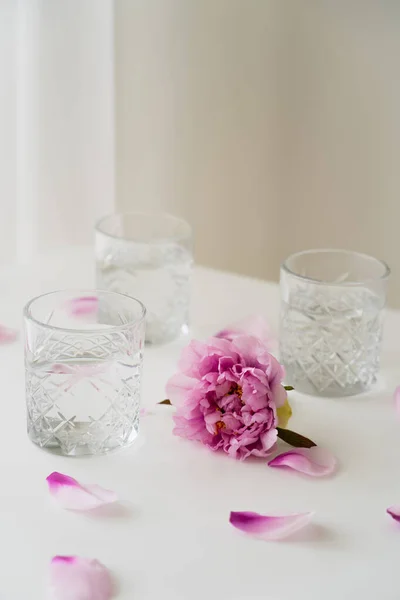 Pink Peony Floral Petals Glasses Fresh Water Grey Background — Stock Photo, Image