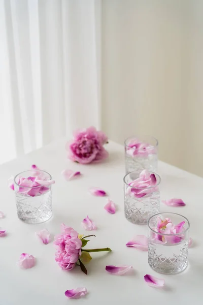 Verres Avec Pétales Toniques Floraux Près Des Pivoines Roses Sur — Photo