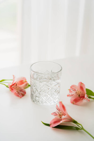 transparent glass with fresh water near pink alstroemeria flowers on white background with copy space