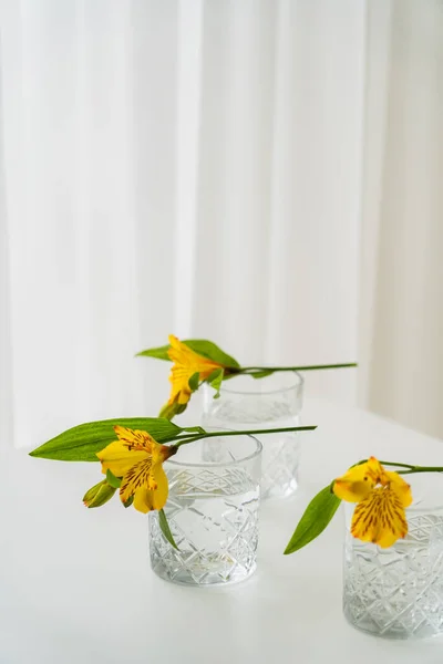 Yellow Alstroemeria Flowers Glasses Water White Background Copy Space — Stock Photo, Image