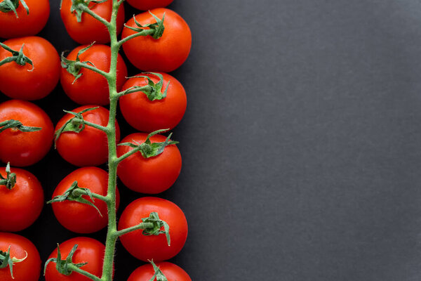 Top view of organic tomatoes on black background with copy space