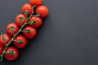 Siyah yüzey üzerinde dallı doğal kiraz domateslerinin fotokopi alanı ile üst görünümü