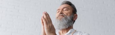 Düşük açılı Guru adam gri sakallı meditasyon yaparken gözleri kapalı ve dua eden eller, bayrak