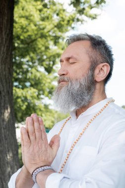 Sakallı usta guru kapalı gözlerle meditasyon yapıyor ve dışarıda dua ediyor.