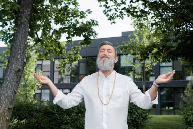 Usta Guru gözleri kapalı ve kolları açık parktaki ağaçların altında meditasyon yapıyor.