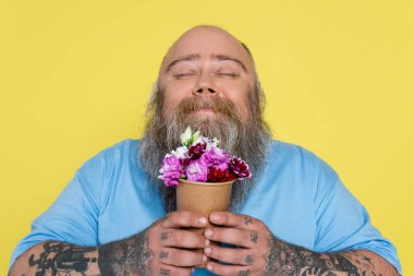 pleased bearded man with overweight smelling aromatic flowers in paper cup isolated on yellow