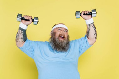 overweight man grimacing while training with heavy dumbbells isolated on yellow clipart