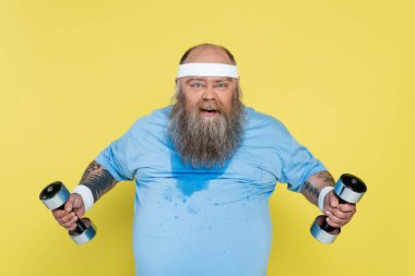 sweaty plus size man grimacing at camera while exercising with heavy dumbbells isolated on yellow