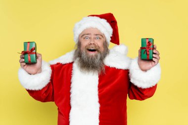 amazed overweight santa claus holding presents isolated on yellow