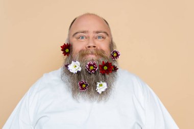 positive overweight man with floral decor in beard looking at camera isolated on beige clipart