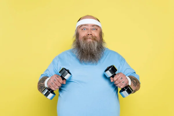Hombre Barbudo Positivo Con Sobrepeso Sosteniendo Mancuernas Mirando Cámara Aislada — Foto de Stock