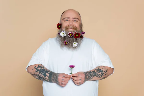 Homme Surpoids Positif Avec Barbe Décorée Tenant Fleur Isolé Sur — Photo