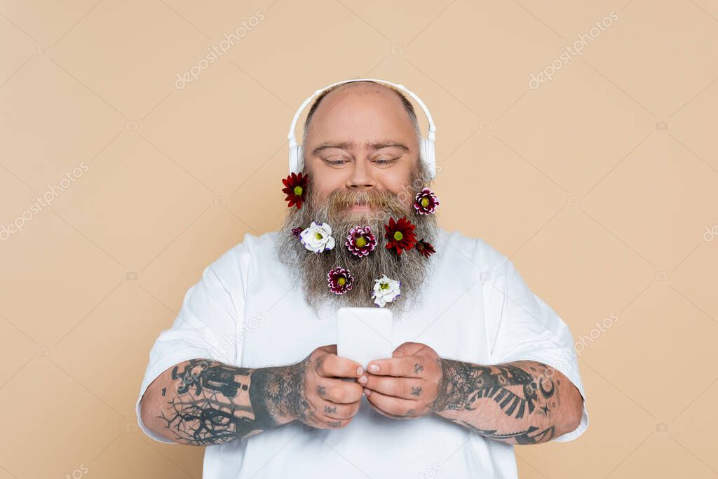 plus size man with decorated beard and smartphone listening music in headphones isolated on beige