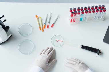 Cropped view of scientist hands in latex gloves near petri dishes and test tubes in lab 