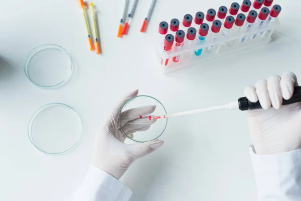 Top View Scientist Holding Electronic Pipette Petri Dish Test Tubes — Stock Photo, Image