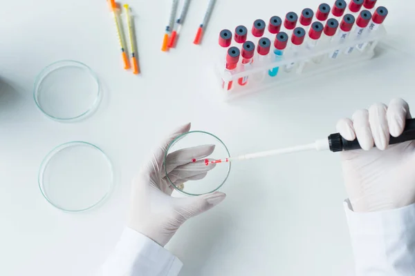 Top View Scientist Holding Electronic Pipette Petri Dish Test Tubes — Fotografia de Stock