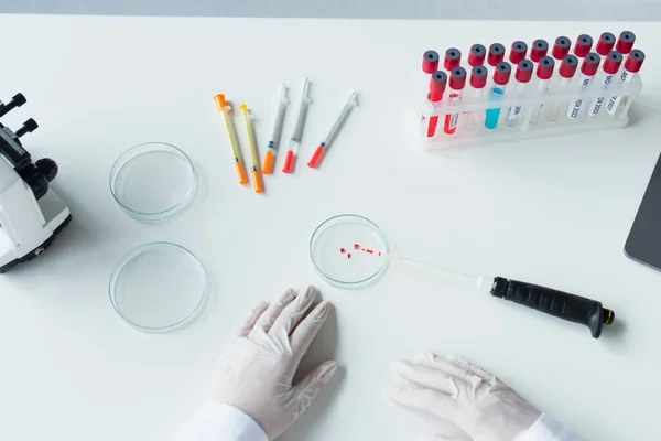 Bilim Adamlarının Lateks Eldivenli Ellerinin Petri Kabının Yanında Laboratuvar Tüplerinin — Stok fotoğraf