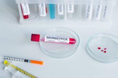 Laboratuvardaki petri kabına maymun çiçeği harfleriyle test tüpünün üst görüntüsü 