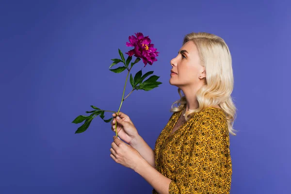 side view of blonde woman in blouse holding purple flower with green leaves isolated on violet