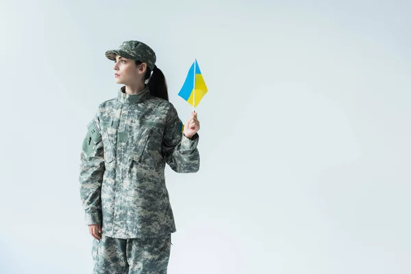 Солдат Формі Шапці Тримає Прапор Українки Дивиться Нього Ізольовано Сірий — стокове фото