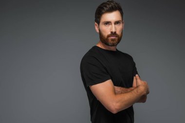 portrait of bearded man in black t-shirt looking at camera while standing with crossed arms isolated on grey