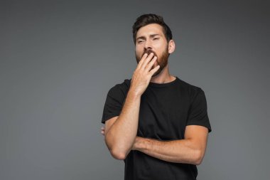 portrait of bearded man in black t-shirt yawning isolated on grey