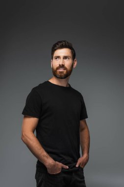 portrait of pleased bearded man in black t-shirt posing with hands in pockets isolated on grey