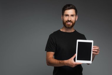 happy bearded man in black t-shirt holding digital tablet with blank screen isolated on grey