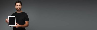 happy bearded man in black t-shirt holding digital tablet with blank screen isolated on grey, banner