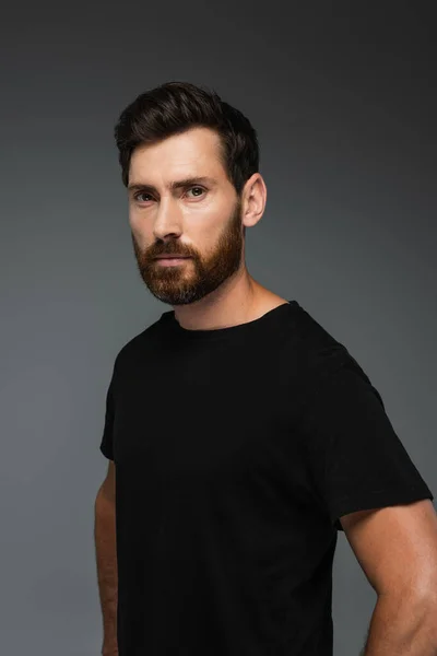 portrait of bearded man in black t-shirt looking at camera isolated on grey