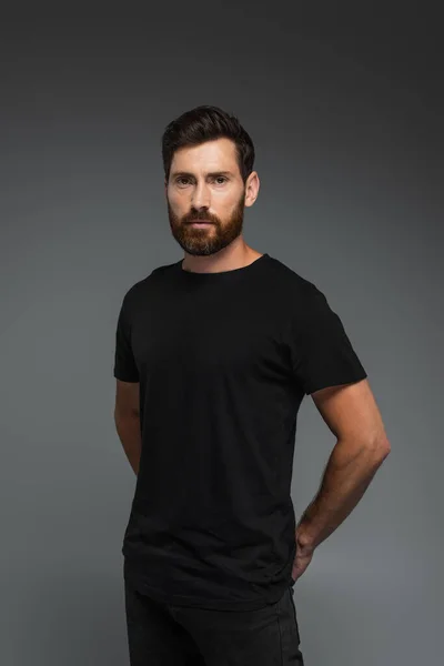 portrait of good-looking man in black t-shirt looking at camera isolated on grey