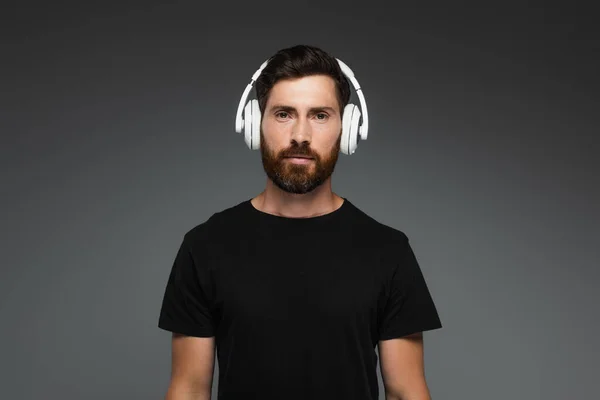 Bearded Man Wireless Headphones Listening Music Isolated Grey — Fotografia de Stock