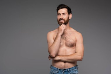 shirtless and bearded man with hair on chest smiling isolated on grey