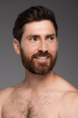 portrait of shirtless and happy man with hair on chest smiling isolated on grey