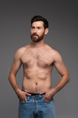 shirtless and bearded man with hair on chest posing with hands in pockets isolated on grey