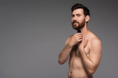 bearded and shirtless man shaving with electric razor isolated on grey