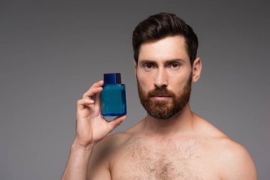 bearded and shirtless man holding bottle with after shave product isolated on grey