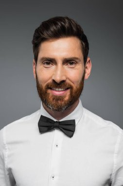 portrait of bearded man in white shirt with bow tie smiling isolated on grey 