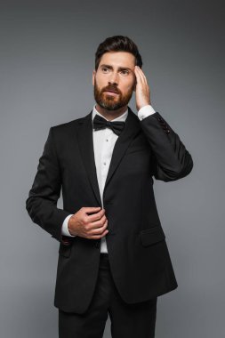 elegant man in suit with bow tie adjusting hair isolated on grey