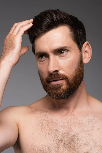 Portrait Man Beard Adjusting Brown Hair Isolated Grey — Foto de Stock