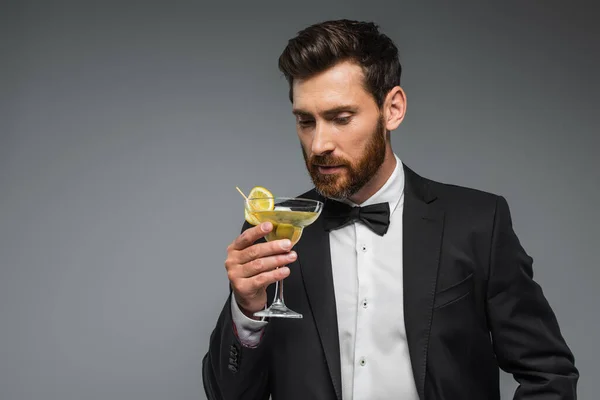 bearded man in suit looking at glass with cocktail isolated on grey
