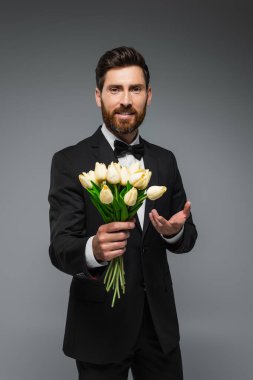 bearded man in elegant suit with bow tie holding fresh tulips and smiling isolated on grey 