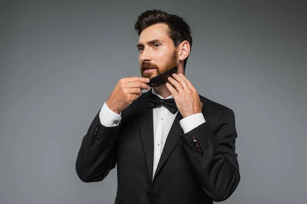 Man Tuxedo Brushing Beard Comb Isolated Grey — Fotografia de Stock