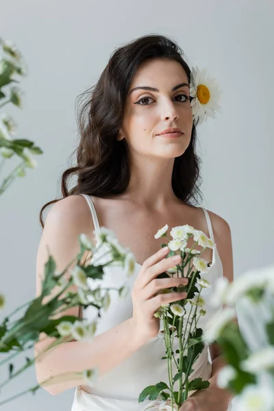 Young Woman Makeup Holding Chamomiles Isolated Grey — Photo