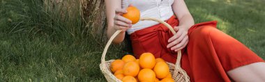 Cropped view of fashionable woman holding orange near basket in park, banner 