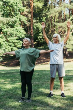 full length of cheerful senior couple in sportswear exercising together in park 